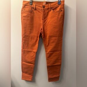 Ann Taylor LOFT Women's Orange Modern Skinny Jeans Size 10P